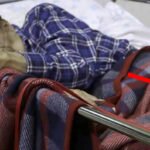Idoso perde tudo em terremoto na Itália. Mas ao olhar para os pés da cama, ele repara que seu bem mais valioso ainda está lá