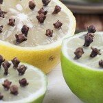 6 maneiras de espantar moscas