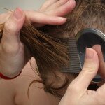 Receitas naturais para eliminar piolhos