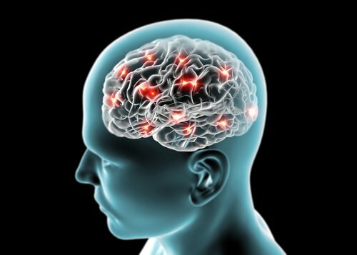 protege-o-cerebro