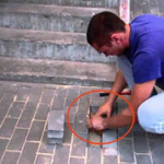 Moradores escutam um Barulho vindo debaixo do Chão. Você vai ficar perplexo com essa descoberta!