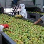 Comida Veneno: Veja o que eles estão Colocando no seu Alimento e que está matando você aos poucos