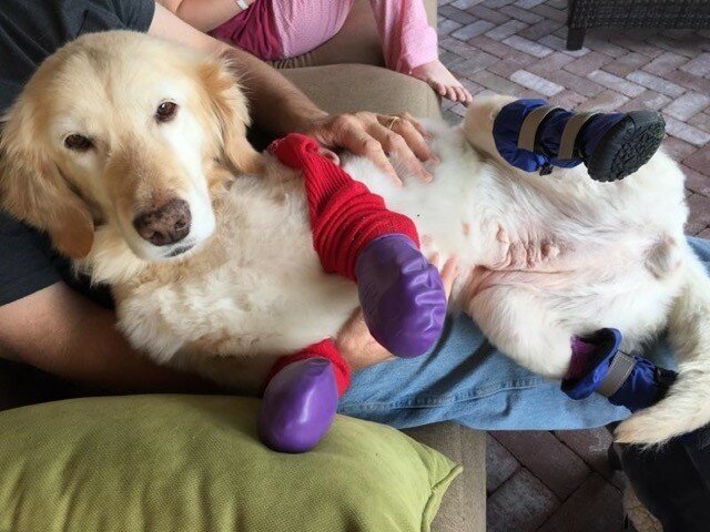 chichi7