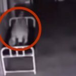 A mulher morre no hospital. Mas o que a câmera de vigilância mostra me dá arrepios na espinha.