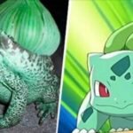 16 Pokémons que existem na vida real. Como é possível?!