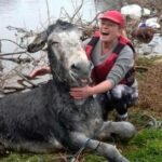 Esse animal não foi burro quando eles o ajudaram a sair da água. Ao contrário: seus salvadores não acreditaram!