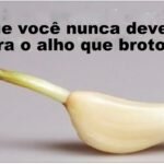 Este é o Motivo por que você nunca deve jogar fora o Alho que brotou!