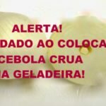 Alerta! Cuidado ao colocar cebola crua na geladeira – aqui está o motivo