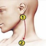 Como Reduzir a Pressão Arterial em 5 Minutos sem nenhum medicamento!